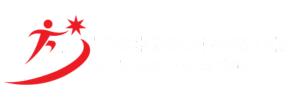TechSole System
